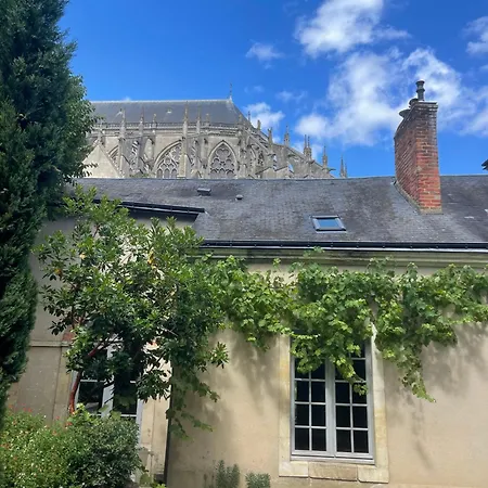 Maison d'hôtes D'hote - Maison Des Ecrivains - 50 M De La Cathedrale Et Place Des Jacobins *