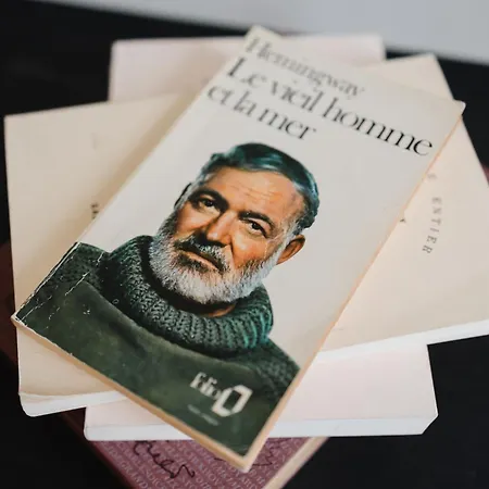 D'hote - Maison Des Ecrivains - 50 M De La Cathedrale Et Place Des Jacobins בית הארחה