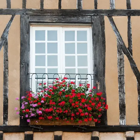 D'hote - Maison Des Ecrivains - 50 M De La Cathedrale Et Place Des Jacobins