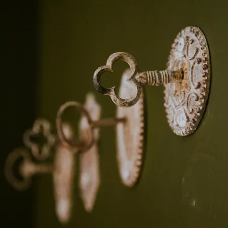 D'hote - Maison Des Ecrivains - 50 M De La Cathedrale Et Place Des Jacobins 게스트하우스 3*