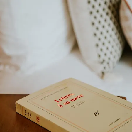 D'hote - Maison Des Ecrivains - 50 M De La Cathedrale Et Place Des Jacobins 3* 르망