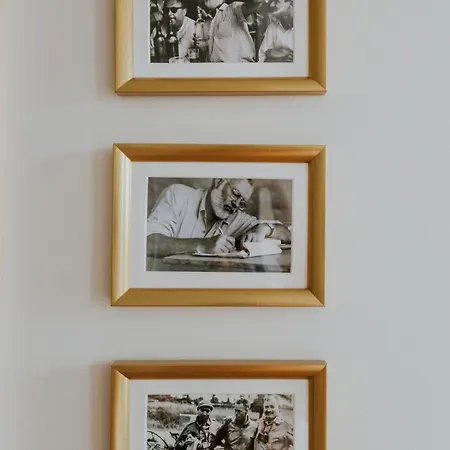 D'hote - Maison Des Ecrivains - 50 M De La Cathedrale Et Place Des Jacobins 3* 르망