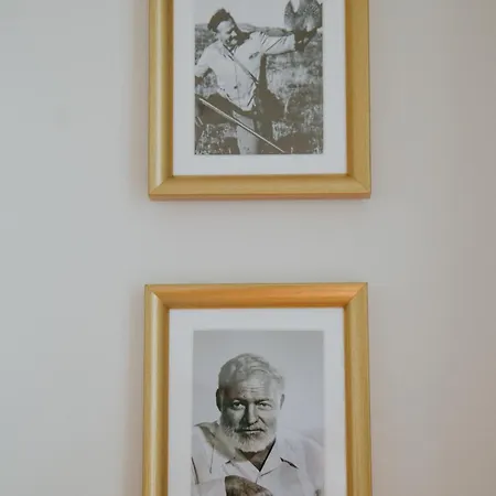 D'hote - Maison Des Ecrivains - 50 M De La Cathedrale Et Place Des Jacobins בית הארחה 3*