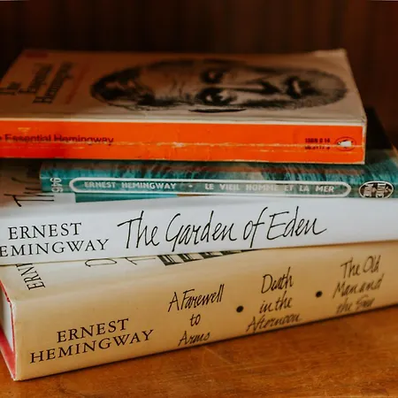 D'hote - Maison Des Ecrivains - 50 M De La Cathedrale Et Place Des Jacobins 3*