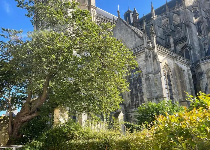 Gasthuis D'hote - Maison Des Ecrivains - 50 M De La Cathedrale Et Place Des Jacobins
