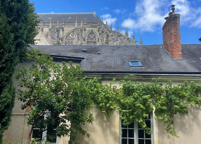 Maison d'hôtes D'hôte - Maison Des écrivains - 50 M De La Cathédrale Et Place Des Jacobins 3*