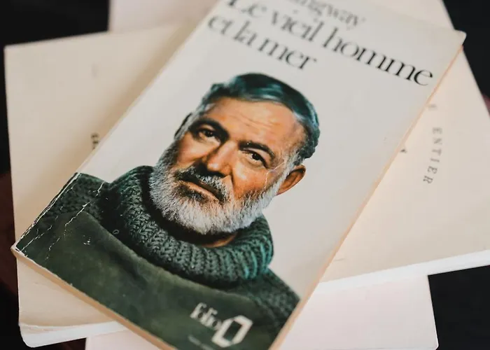 D'hote - Maison Des Ecrivains - 50 M De La Cathedrale Et Place Des Jacobins Gasthuis