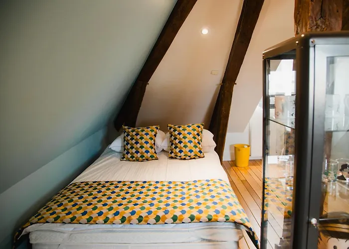 D'hote - Maison Des Ecrivains - 50 M De La Cathedrale Et Place Des Jacobins 3* Le Mans