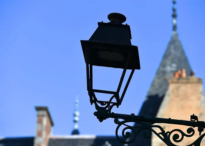 Gasthuis D'hote - Maison Des Ecrivains - 50 M De La Cathedrale Et Place Des Jacobins 3*