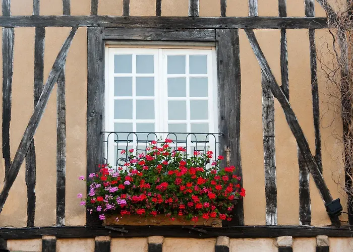 D'hôte - Maison Des écrivains - 50 M De La Cathédrale Et Place Des Jacobins