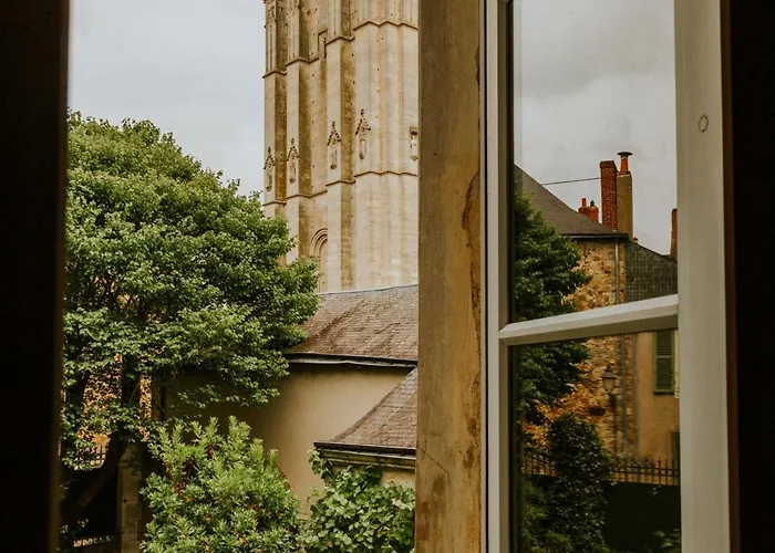 Maison d'hôtes D'hôte - Maison Des écrivains - 50 M De La Cathédrale Et Place Des Jacobins 3*