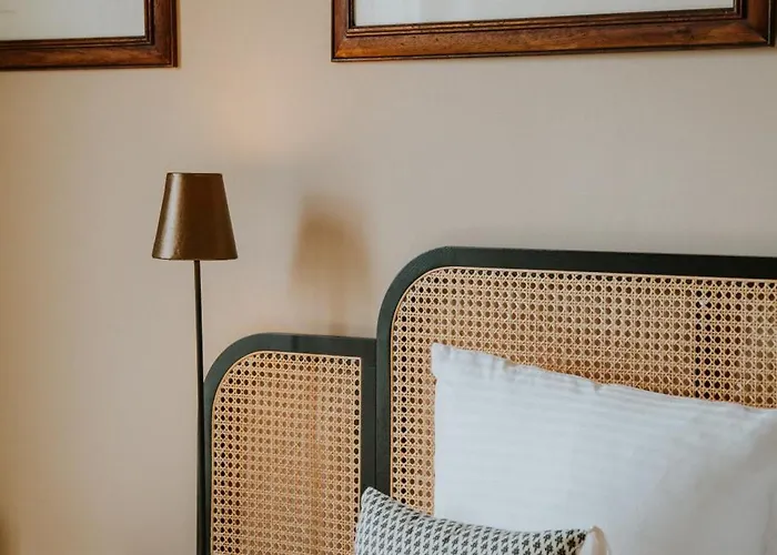 D'hôte - Maison Des écrivains - 50 M De La Cathédrale Et Place Des Jacobins Maison d'hôtes