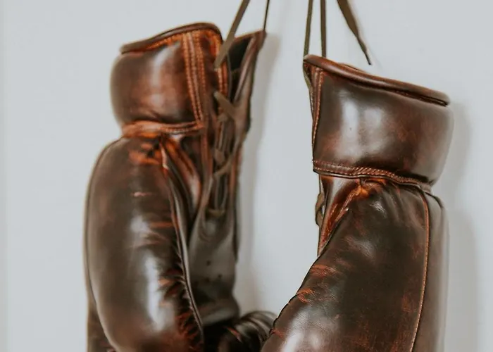 D'hote - Maison Des Ecrivains - 50 M De La Cathedrale Et Place Des Jacobins Le Mans