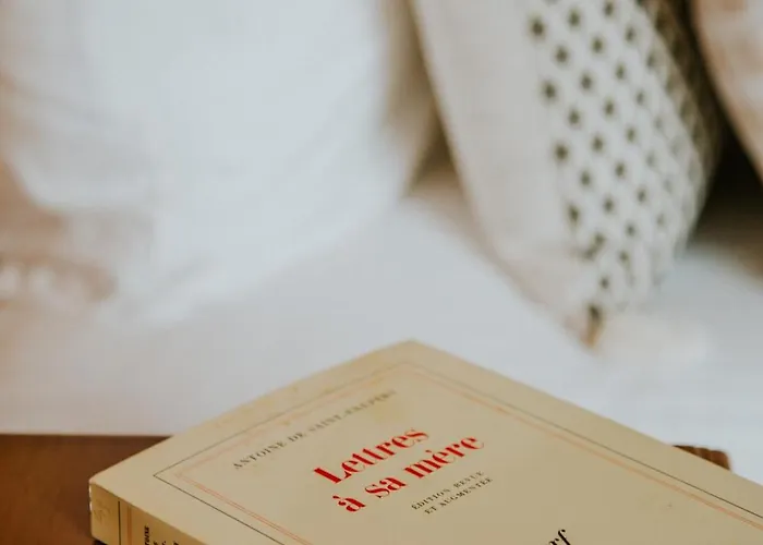 D'hôte - Maison Des écrivains - 50 M De La Cathédrale Et Place Des Jacobins 3* Le Mans