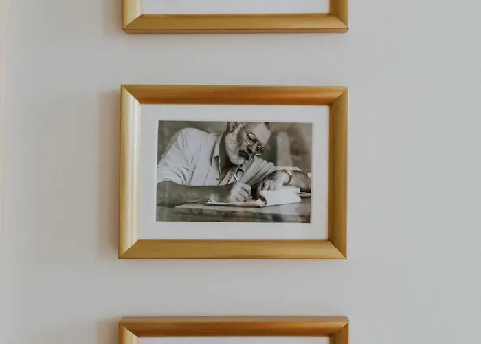 D'hôte - Maison Des écrivains - 50 M De La Cathédrale Et Place Des Jacobins 3* Le Mans