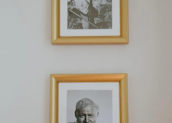 D'hote - Maison Des Ecrivains - 50 M De La Cathedrale Et Place Des Jacobins Gasthuis 3*