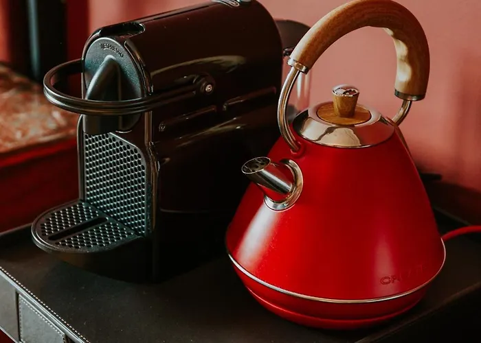 D'hote - Maison Des Ecrivains - 50 M De La Cathedrale Et Place Des Jacobins Gasthuis