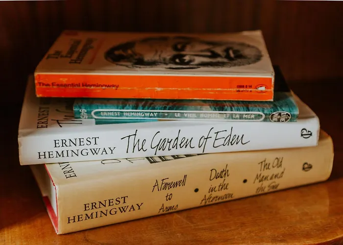 D'hote - Maison Des Ecrivains - 50 M De La Cathedrale Et Place Des Jacobins 4*